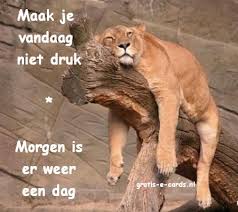 Afbeeldingsresultaat voor wat is vriendschap grappig