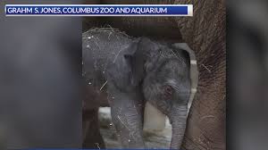 NBC4 WCMH-TV - News update