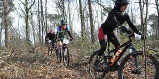 Sud Ouest - News update