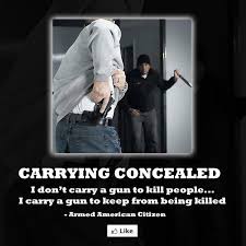 Image result for funny pictures 2nd amendment