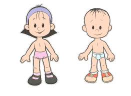 Resultado de imagen para cuerpo humano