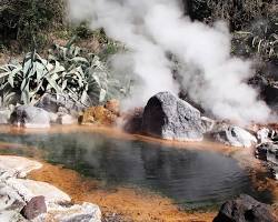 Image of hot spring surrounded by steam and vegetation