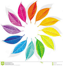 Image result for color wheel