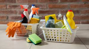 Reforma laboral para empleadas domésticas: amplía período de prueba y establece nuevas herramientas digitales en régimen de casas particulares