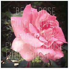 Spring is here, take some flowers quotes via Relatably.com