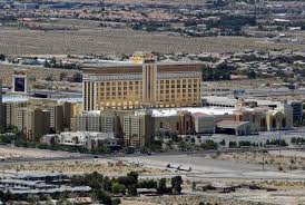 Three horses stabbed at Las Vegas barrel race competition. Teen girl is arrested