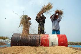 Image result for Manikganj District Faculty,