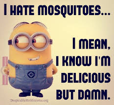 I hate mosquitoes - Minion Quotes via Relatably.com