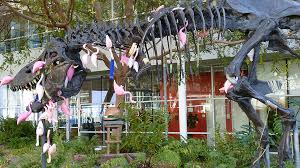 Image result for google campus