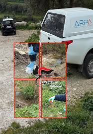 Trend Google: ragusa