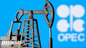 UAE OPEC : ce qu'il faut savoir — image 4