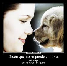 Carteles y Desmotivaciones de perros persona beso amor animales amigo comprar. carteles perros persona beso amor animales amigo comprar desmotivaciones - perrodogpersonabesonarizcarioinspiracionalcute