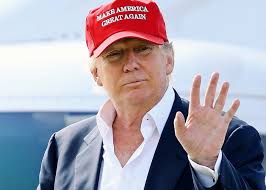 Image result for make america great again