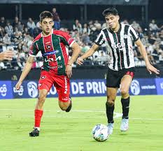 Noticias de la A.P.F. - News update
