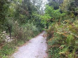 Resultado de imagen de limpieza caminos maleza