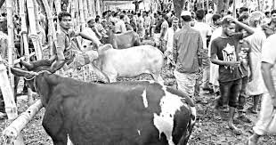 Image result for হাট বাজার নীতিমালা