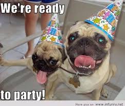 Images happy birthday funny animals via Relatably.com