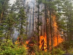 My Campbell River Now - News update