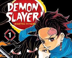 Image of Demon Slayer: Kimetsu no Yaiba manga cover