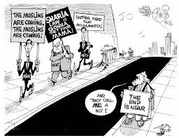 Image result for islamophobic cartoons