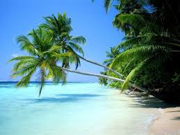 Image result for PANTAI NATSEPA