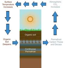 Climate Change