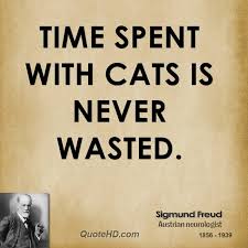 Sigmund Freud Quotes | QuoteHD via Relatably.com