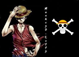 Image result for one piece