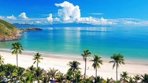 Image result for beach