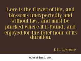 Quotes About Finding Love Unexpectedly. QuotesGram via Relatably.com