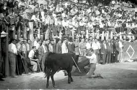 Ayuntamiento de Arganda - News update