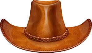 Image result for cowboy hats