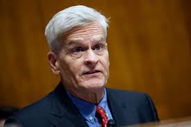Republican Louisiana senator Bill Cassidy loses primary after Trump intervenes to oust him