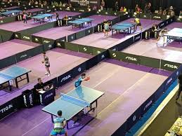 IPL 2025 Bergulir, Persaingan Usia Muda Picu Kebangkitan Tenis Meja Indonesia - Poskotaonline