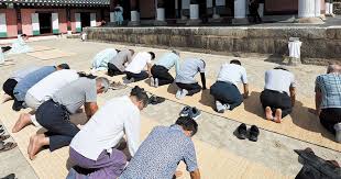 조선일보 - News update
