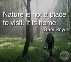 Nature Quotes on Pinterest | Hunting Quotes, Henry David Thoreau ... via Relatably.com
