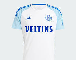 Image of FC Schalke 04 2024/25 Away Kit