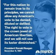 Voting Rights Quotes. QuotesGram via Relatably.com