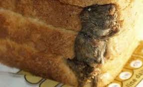 Image result for ‫احمداسماعیلی کریزی/تصاویر‬‎
