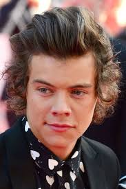 Harry Styles&#39;s hair, a fan in a wedding dress: 1D premiere best bits - Showbiz News - Digital Spy - harry-styles-hair-premiere