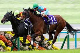 News source: JRA日本中央競馬会