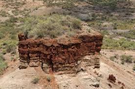 Hasil gambar untuk Olduvai Gorge