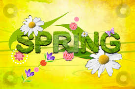 Image result for spring