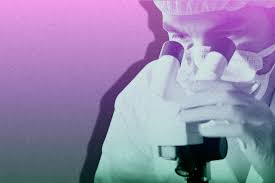 News source: Le Monde.fr