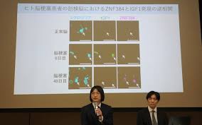 News source: 日本経済新聞