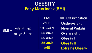 Hasil gambar untuk body mass index