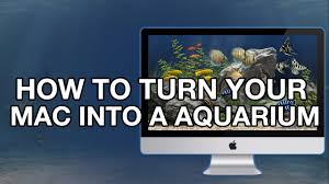 Résultat de recherche d'images pour "mac aquarium"