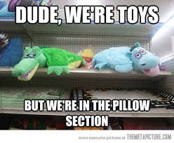 Image result for Animal Meme