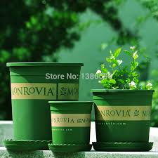 Image result for monrovia green pot