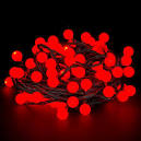 Red berry christmas lights